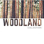WOODLAND - новая коллекция на складе!